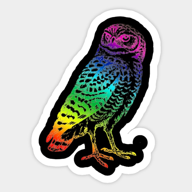 Owl Rainbow Sticker by hudayadi